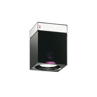 Настенный/Потолочный светильник Cubetto, Черный/Хром (Fabbian, D28E0102)